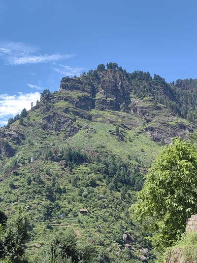 The image displays a panoramic view of a mountainous landscape in Chhyal, India, under a clear blue sky with sparse wispy clouds. The terrain is characterized by steep, rocky slopes covered in lush green vegetation and dense pine forests. Several small buildings, possibly homes or shelters, are nestled into the hillsides, some with what appear to be agricultural terraces. The foreground features a large, leafy green tree, partially obscuring the view of the stone wall and vegetation on the right side of the frame. The overall scene conveys a sense of natural beauty and rural habitation.