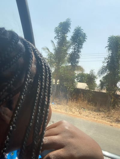 The image depicts a side profile of a person inside a vehicle, looking out a window onto an external scene in Unguwar Gaya, Nigeria. The individual has dark skin and black hair styled in numerous braids that fall forward. A portion of their right hand, with visible knuckles, rests near the window frame.
Outside the vehicle, a light blue sky dominates the upper frame, traversed by thin horizontal wires, likely utility lines. Directly below the sky are several tall trees with dense green foliage, including at least two identifiable palm trees. Further down, a dirt or gravel roadside with dry, light brown vegetation is visible. Scattered small pieces of colorful refuse, possibly plastic bags, are present on the dry ground. A dark grey paved surface, likely a road, occupies the lower portion of the external scene. In the mid-ground, a low, light brown wall is partially visible, with a building structure featuring a corrugated metal roof behind it, partially obscured by trees. The overall environment suggests a sunny, possibly dry climate.