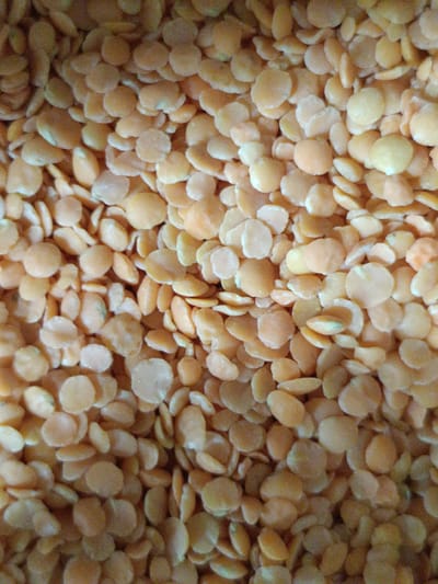 The image is a close-up, overhead shot of split red lentils. The lentils are small, round, and flat, with a pale orange to yellow color. They are piled together, filling the entire frame of the image, and are slightly out of focus, creating a soft, textured appearance. There are no people, objects, or environmental features visible in the image, and no specific location in Martuni, Armenia can be determined.