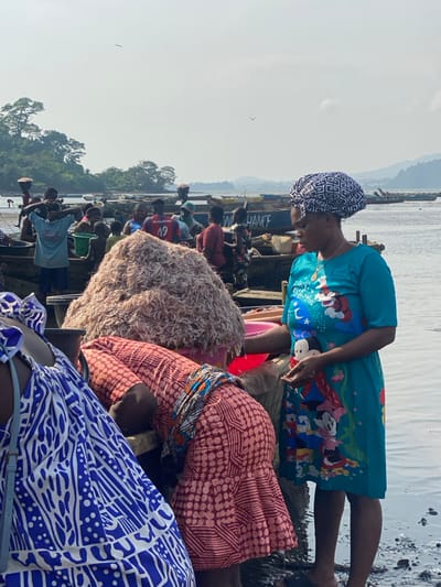 The image depicts a busy waterfront scene in Victoria, Cameroon, filled with people and wooden boats under a bright, clear daylight sky. The perspective is from within a crowd, with individuals engaged in various activities along the shore.
In the foreground, a woman stands, her back slightly turned, wearing a bright turquoise dress adorned with colorful cartoon characters, including Mickey Mouse. She has a blue and white patterned head covering and is looking down, possibly at items being handled or sold. To her immediate left and right, other individuals are visible, many sitting or bending over, dressed in vibrant, patterned fabrics. One person's back is covered by a bulky, light brown, shaggy-textured material.
Behind these individuals, a line of wooden boats is docked, each seemingly filled with people. On the side of one of these boats, the words "WE CHANCE" are partially visible. The boats are positioned at the water's edge, which stretches into the background. Distant, green, tree-covered hills rise on the far bank of the water body. The atmosphere is bright and well-lit, indicating daytime, and the calm water suggests fair weather. The scene portrays a lively communal gathering, characteristic of a market or fishing port where goods are exchanged or transported.