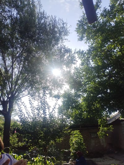 The image depicts a sun-drenched outdoor scene, likely in Vahdat, Tajikistan, characterized by lush green foliage and a bright sky. The sun is prominently featured, casting strong rays through the leaves of several trees, creating a lens flare effect. In the foreground, the upper torso and arm of a person wearing a purple garment are visible, with hands outstretched. To the right of the frame, a portion of a building with a pitched roof constructed of dark material is visible, adjacent to a brick structure with a small window. A woman wearing a dark blue garment and a red head covering is seated in the lower right portion of the image, partially obscured by foliage. The ground appears to be a mix of dirt and stones. In the background, there are more trees and vegetation, suggesting a rural or garden setting. The overall impression is one of a warm, sunny day in a verdant environment.