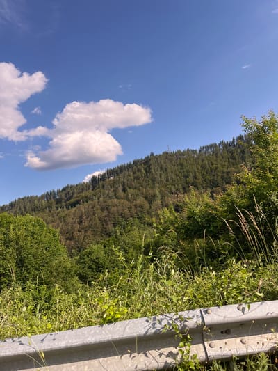 The image shows a view of a forested hillside with a blue sky and scattered clouds. In the foreground, there is a metal guardrail bordering a patch of tall grass and vegetation. The hillside is covered with a dense forest of coniferous and deciduous trees, with a visible tower or antenna on the summit. The scene appears to be a natural landscape, possibly a roadside view in or near the city of Taran, Bulgaria. There are no people or animals visible in the image. The time of day appears to be daytime, with sunlight illuminating the scene.