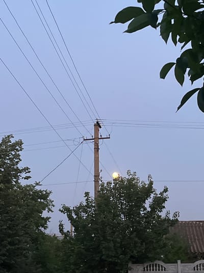 An outdoor, eye-level shot captures a utility pole with electrical wires against a pale blue, dusk sky. The pole, made of concrete, is positioned slightly right of center and has several insulators and wires attached. A bright, full moon is visible just above the treeline and partially obscured by the branches of a large tree to the right of the pole. Dark green trees fill the foreground and midground, with a portion of a gray, corrugated roof and a decorative concrete fence visible at the bottom right. The scene appears to be in an urban or suburban setting, likely in Chernove, Ukraine, given the overall composition and common elements of such locations.
