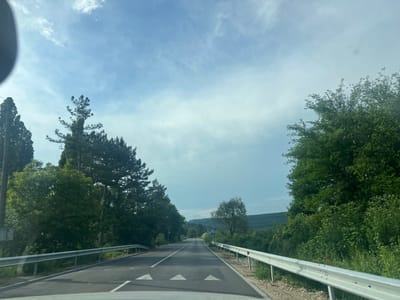 The image displays a two-lane asphalt road, as viewed from inside a vehicle, located in the area of Batovo, Bulgaria. The road surface is marked with white lines: a solid line defines the right edge, and a dashed line is present in the center. Multiple white triangular yield markings are painted on the asphalt in the immediate foreground. Metallic guardrails run along both sides of the road.
To the left, a dense aggregation of trees, primarily conifers, stands alongside the road, partially obscuring a utility pole. The right side of the road is bordered by a continuous stretch of green vegetation, comprising trees, bushes, and grasses, with several red flowers visible among the foliage behind the guardrail. In the mid-distance on the right, a road sign assembly consists of an upper triangular warning sign with an indiscernible pictogram and a lower rectangular blue informational sign.
Beyond the immediate roadside, the landscape transitions into forested hills that extend into the horizon. The upper half of the image is dominated by a light blue sky dotted with scattered white clouds. The very bottom of the frame shows a portion of a vehicle's dashboard or windshield. A circular artifact is present in the upper left quadrant of the image.
