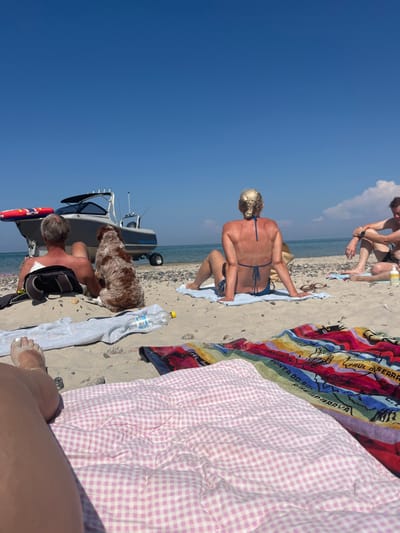The scene depicts a sunny beach in Skagen, Denmark. In the foreground, the lower legs and feet of an individual, seemingly lying down, are visible on a pink gingham-patterned blanket. To the right of this blanket, a multicolored striped towel is spread on the sand.

In the mid-ground, four individuals and one dog are positioned on the sandy shore facing the water. From left to right:
1.  The back of a male with short grey hair is visible, lying on the sand with a black bag near his head.
2.  A brown and white shaggy dog is seated upright, facing the water.
3.  The back of a female with blonde hair styled in a bun is visible, wearing a blue bikini and sitting on a light blue towel. A pair of sunglasses rests on her towel.
4.  To the far right, the side profile of a male with dark hair is visible, seated on a towel. A yellow-capped bottle is near him.

A clear plastic bottle with a yellow cap and a white towel are on the sand between the leftmost person and the woman in the blue bikini.

In the background, a grey and white boat, labeled "SEALION," rests on a wheeled trailer partially in the shallow water. A red and yellow inflatable tube is positioned on the front of the boat. The sea extends to the horizon, meeting a clear blue sky that dominates the upper portion of the image. A faint, small cloud formation is visible on the right side of the horizon. The beach sand is interspersed with small stones and pebbles.