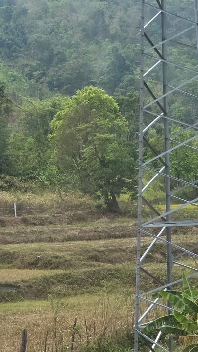 A view of a rural landscape near Kon Ra Kiah, Vietnam. A metal grid structure (likely an electricity pylon) is positioned in the upper part of the frame. Beyond it are hillside trees to the left, and a terraced field to the right. The field has alternating light and dark brown furrows. A single tree is prominently featured in the central area, set against the backdrop of the hill.