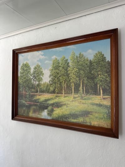 The image depicts a framed landscape painting of a tranquil forest scene with a body of water in the foreground. The painting is hung on a textured white wall, with a white ceiling visible at the top of the frame. A thin, dark-colored spider with long legs is suspended from a thread in the upper right corner of the image, above the painting and near the ceiling. The painting itself shows a wooded area with tall, green trees and a grassy bank leading to a calm, reflective body of water. A wooden fence runs through the middle ground of the painting. The artwork is enclosed in a polished wooden frame. The location is identified as Vydoshnia, Ukraine, but no specific landmarks or context are provided within the image to support this.