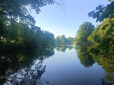 The image depicts a tranquil lake in Wysoka, Poland, surrounded by lush green trees that frame the scene. The clear blue sky is visible between the branches, and its reflection is seen on the calm surface of the water, mirroring the trees. In the foreground, there are some fallen branches and vegetation near the water's edge. In the center of the lake, ripples disrupt the reflection, and a small wooden platform or dock is visible near the right side. The overall impression is one of a peaceful, natural environment.