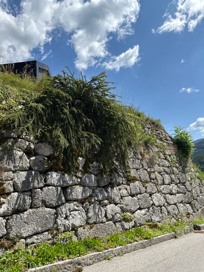 The image depicts a section of a stone retaining wall in Berchtesgaden, Germany, on a bright, sunny day. The wall is constructed from large, irregular grey stones, some of which are covered in patches of moss. Green foliage, including a dense, cascading plant and smaller grasses, grows along the top and sides of the wall. A modern, dark-colored structure with a sharp angle is partially visible at the top left of the frame, nestled amongst the vegetation. The foreground shows a paved surface, likely a road or pathway, with a border of green grass and small yellow wildflowers. The background is a clear blue sky dotted with fluffy white clouds, and a distant, tree-covered hillside is visible on the right. No people or animals are present in the image.