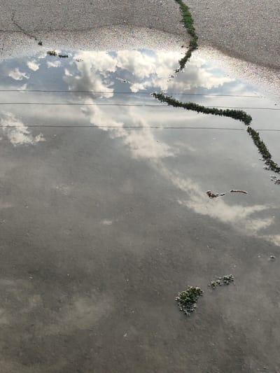 This media file captures a close-up, overhead view of a puddle on an asphalt surface. The puddle reflects a cloudy sky, with white clouds scattered across a lighter gray background. The surface of the asphalt is visible in the upper portion of the image, showing its rough texture and some colorful debris. A prominent crack runs diagonally across the asphalt, and a line of small green plants follows this crack, extending into the puddle.
There are also three thin, dark horizontal lines crossing the puddle, which appear to be from a wire or string. A small, irregularly shaped object, possibly debris or a clump of vegetation, floats near the center-right of the puddle, partially submerged. In the lower portion of the puddle, a cluster of green vegetation is visible on the surface. The overall impression is one of a natural scene interacting with man-made elements. The lighting suggests it might be daytime, possibly overcast or late afternoon given the reflective quality of the water. No people or text are visible in the media file. The location context provided is Қырғауылды, Kazakhstan.