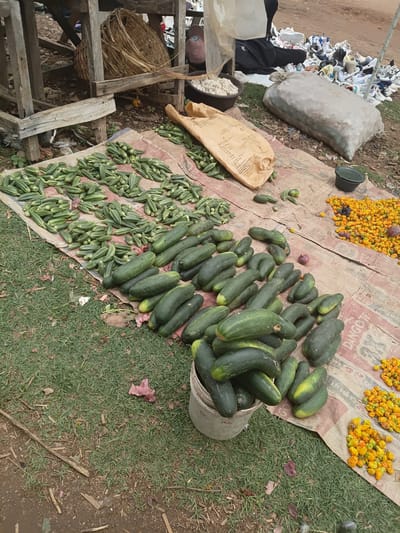 This is a high-angle, full shot of a market stall in Tilde, Nigeria, with a focus on produce. In the foreground, a large pile of dark green cucumbers is arranged on a patterned tarp. To the left of the cucumbers, a smaller pile of green okra pods is spread out. To the right of the cucumbers, on the same tarp, are several small, bright yellow peppers, some with red and green accents, and a single red onion. A dark, circular container is visible near the yellow peppers, and a larger, light-colored sack is situated behind the produce. In the background, a rough wooden structure with a woven basket is visible. Further in the background, piles of shoes are scattered. The ground is a mix of dirt and short, green grass. The scene appears to be outdoors, likely on a market day.