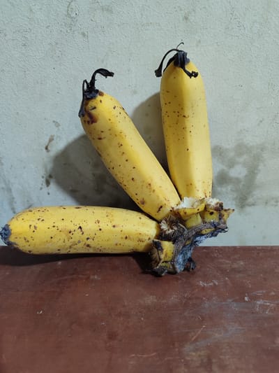 Three overripe yellow bananas are clustered together, lying on a reddish-brown surface against a textured, off-white wall. The bananas show significant spotting and some browning, particularly around their stems. The stems themselves appear dry and brittle. Shadows cast by the bananas are visible on the wall. The scene suggests an indoor setting, possibly a kitchen or a table surface in a room. The image does not contain any information that would allow for localization to Lancokpanteara, Indonesia or any other specific geographical location.