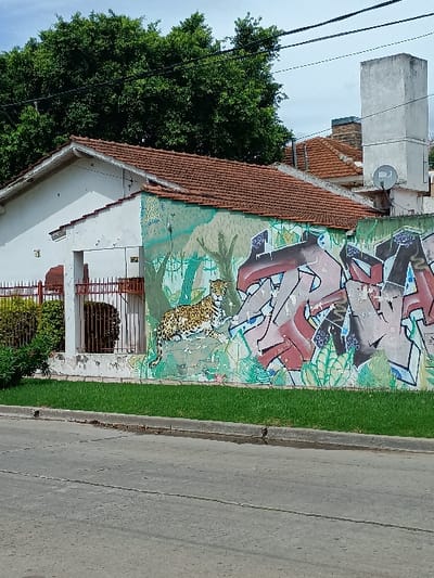 The image shows a side view of a building with a red tile roof. The building has a white exterior and is located on a street in General Pacheco, Argentina. The street is paved and there is a curb on the right side of the image. The building has a large mural painted on its side. The mural is a colorful depiction of a jungle scene with a large leopard painted on the side. The mural is somewhat weathered and faded. A green leafy tree, likely a eucalyptus, is on the left of the building. The location of the scene is General Pacheco, Argentina, which is located at -34.466° S, -58.635° W.