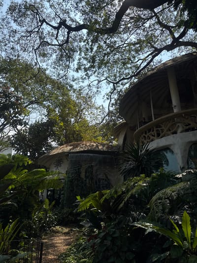 The photograph captures a unique architectural structure amidst lush greenery. A multi-tiered, organically shaped building dominates the scene, its surface adorned with decorative details. A dense array of tropical plants, including ferns and palms, surrounds the structure, blending it with the natural environment. The sky is visible through the foliage of tall trees with intricate branches. The image has a somewhat tilted perspective, lending it a dynamic feel.