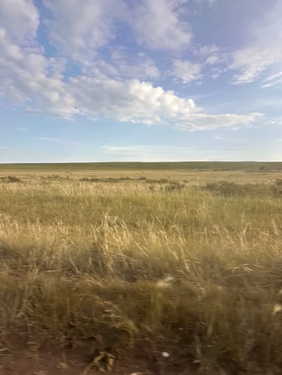 The image depicts a vast, dry grassland under a bright blue sky dotted with white clouds. The foreground is filled with tall, golden grass, appearing somewhat blurred, suggesting movement or wind. In the middle ground, more grassland stretches out, with some scattered bushes and a gently rolling green hill in the distance. The horizon is a sharp line separating the land from the sky. The overall impression is one of an open, natural landscape, possibly a steppe or prairie. There are no people or man-made structures visible in the scene. The image is a natural landscape photo, taken during daylight.
