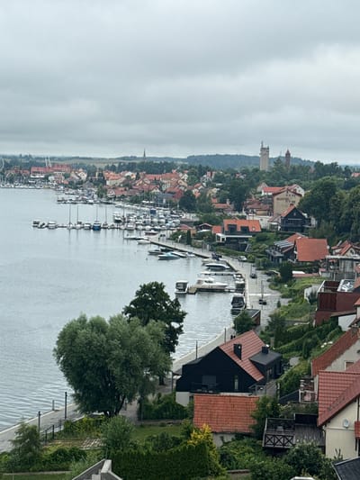 The image captures a view of Mikołajki, Poland, specifically the lakeside town and its marina. In the foreground, there are several modern houses with red tile roofs nestled into a lush, green hillside. A large, heart-shaped tree with green foliage dominates the left side of the foreground, with its trunk partially obscured by the hillside. Adjacent to the tree, a paved walkway runs along the water's edge, lined with a dark fence and lampposts.
The middle ground features a wide expanse of calm water, likely Lake Mikołajskie, filled with numerous docked boats of varying sizes, including sailboats and motorboats. A few of these boats are in motion or docked along piers. Along the waterfront, a dense collection of buildings, typical of a resort town, can be seen. These structures are a mix of older, traditional architecture with red roofs and more contemporary designs. The town extends up a gentle slope behind the marina.
In the background, the landscape is characterized by rolling hills covered in dense green trees. Several prominent structures stand out on the horizon: a tall, light-colored tower with a statue or figure on top, and a shorter, reddish-brown tower behind it, possibly a historical landmark or communication tower. The sky is overcast and a uniform light gray, suggesting a cloudy or possibly rainy day. The overall scene depicts a serene and scenic view of a lakeside town with a busy marina.