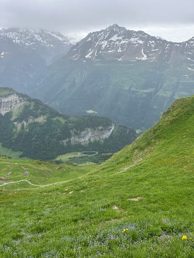 The image captures a panoramic view of a mountainous landscape in Hasliberg Wasserwendi, Switzerland. The foreground is dominated by a vibrant green meadow dotted with small blue and yellow wildflowers. A gentle slope leads the eye towards the middle ground, where a serene, dark blue lake is nestled within a valley. Surrounding the lake are lush green slopes covered in trees, with a winding dirt path visible. Further in the distance, imposing, rugged mountains rise, their peaks partially shrouded in mist and snow. The sky is overcast and a light grey, contributing to the atmospheric and slightly diffused lighting of the scene. Several small, rustic buildings with dark roofs are scattered on the lower slopes, adding a touch of human presence to the otherwise wild and natural environment. The overall impression is one of serene alpine beauty under a cloudy sky.