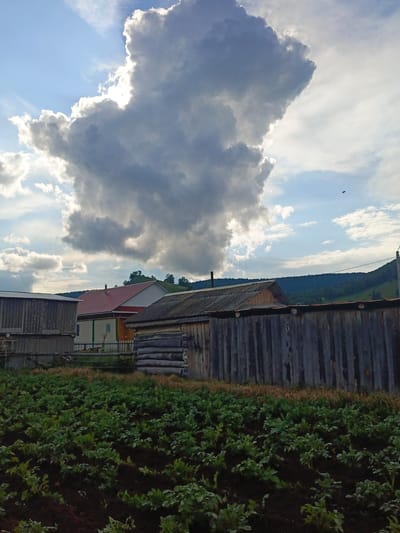 This image captures a rural or semi-rural scene in Gabdyukovo, Russia, under a dramatic sky. The upper portion of the frame is dominated by a large, dense, dark cumulus cloud, its left edge brightly illuminated by sunlight, creating a silver lining against a light blue sky with scattered thinner clouds. In the upper right quadrant, a small, dark, unidentified flying object is visible against the lighter sky.
The midground features several structures. On the left, a weathered building with grey corrugated siding and a sloped roof is present. To its right, partially obscured, is a wooden log structure with a similarly weathered roof. Behind a rustic wooden fence line, a residential-type building with a light-colored facade, a visible window, and a prominent reddish-orange gabled roof stands. Further to the right, behind a tall, dark wooden plank fence, parts of another building with a dark roof are visible. The fence, constructed of vertical planks, extends across much of the midground.
The immediate foreground is a cultivated plot of dark earth, densely populated with young green plants, consistent with a garden or field of growing crops. In the distant background, undulating green hills covered with dense foliage are visible beneath the horizon. There are no discernible people or animals present.
