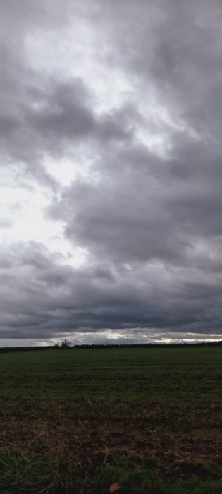 The image depicts an agricultural landscape within the city of Ait Naamane, Morocco, under a heavily overcast sky. The upper two-thirds of the frame are filled with dense, dark grey and white stratocumulus clouds. The lower third of the frame shows a flat, open terrain. The immediate foreground consists of disturbed brown earth with sparse, dry vegetation. Adjacent to this, a broad expanse of vibrant green cultivated field extends towards the horizon. A dark, continuous line of distant trees or dense foliage forms the extreme horizon line beneath the clouds. No human subjects, animals, objects, or structures are visible within the frame. The ambient light is diffused, indicative of an overcast day.