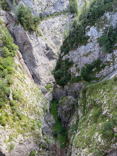 The image shows a deep, narrow gorge with steep, rocky walls. Lush green vegetation, including trees and moss, covers much of the rock face, particularly on the left side. The gorge narrows significantly in the distance, with a densely vegetated floor. A man-made path or road is visible along the upper right wall of the gorge. In the lower left portion of the gorge, a small, partially visible man-made structure with a dark opening can be seen against the rock face. A set of stairs leading down into the gorge is visible on the right side of the image. The scene appears to be a natural landscape modified by human infrastructure. The location is identified as the Gorge of Latais (Gola di Latais) in Lateis, Italy, a natural attraction known for its dramatic geological formations and hiking trails.