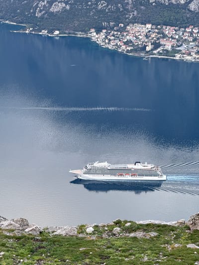 The image depicts an elevated view overlooking a section of the Bay of Kotor, with the residential area along the shoreline of Bogdašići, Montenegro, visible in the background. In the foreground, the edge of a rocky, verdant slope is present, featuring patches of green grass and scattered grey rocks. The central and dominant feature is a large, white cruise ship, identified by "Viking" branding, navigating from left to right across the deep blue waters of the bay. The ship exhibits multiple decks, numerous windows, and rows of orange lifeboats along its side. It generates a prominent wake, indicating forward motion. Across the bay, a densely built town with numerous red-roofed and light-colored buildings stretches along the curved coastline. Behind the town, dark green, forested mountains rise steeply, their rocky upper portions partially visible. The sky is not visible. There are no discernible individuals or direct interactions depicted.