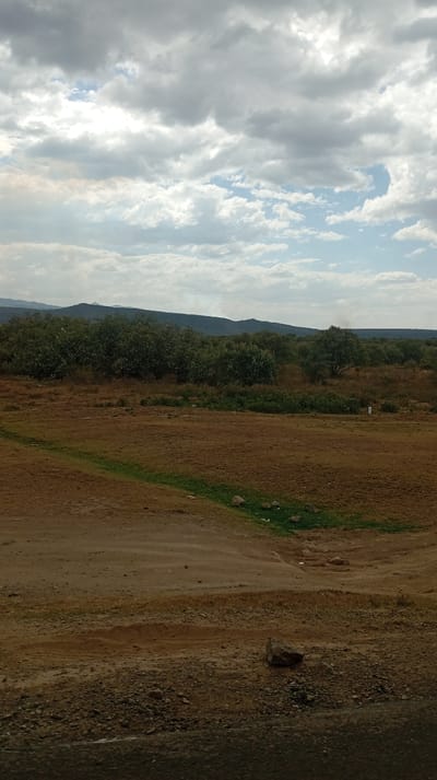 A landscape under a cloudy sky. A dirt field occupies the foreground, transitioning to sparse green vegetation and scrub brush in the middle ground. Beyond that, a line of trees extends across the frame, backed by distant hills. A small stream-like depression cuts through the dirt field. A dark area is visible in the extreme bottom foreground.