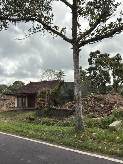 A side view of a rural Balinese compound in Susut, Indonesia, shows a traditional house with a terracotta tiled roof, partly obscured by overgrown vegetation and a pile of debris. A bare-branched tree stands in the foreground, its trunk textured with lichen. The sky is overcast with grey clouds, hinting at impending rain. The scene is bordered by a paved road with a white line on the right side.