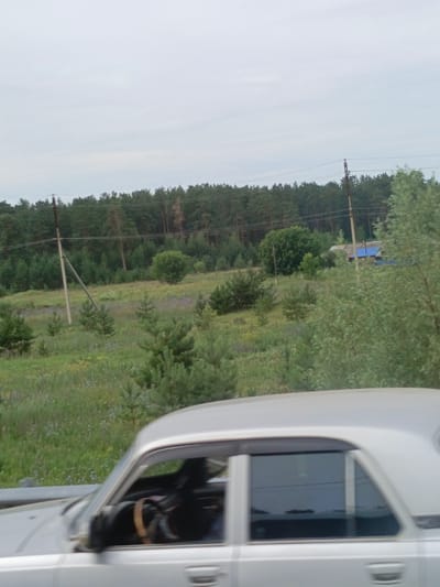 The image depicts a silver sedan driving on a road with a dense forest bordering the right side. A person is visible in the driver's seat, holding the steering wheel. The landscape includes a grassy field with scattered trees and wildflowers. In the background, a small building with a blue roof can be seen. The sky is overcast. The scene appears to be in or near the village of Borovikha, Russia, a location known for its natural beauty and proximity to forests.