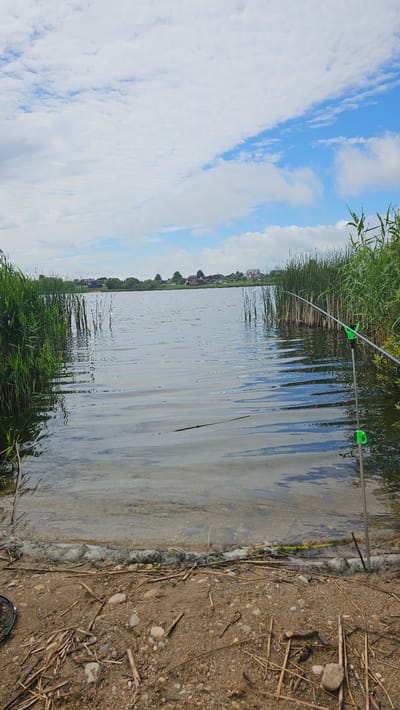 The image depicts a serene waterscape with a view of a lake and the sky. The foreground is a shoreline composed of sand and pebbles, with scattered dry reeds and branches. A fishing rod, propped up by two green holders, is visible on the right side of the frame, angled towards the water. The lake's surface is calm, with gentle ripples reflecting the sky and surrounding vegetation. Along the edge of the lake, tall green reeds create a natural border. In the distance, across the water, a residential area with houses and trees can be seen under a partly cloudy sky. The overall impression is one of a peaceful, natural setting, possibly a fishing spot near the village of Šventininkai, Lithuania, given the presence of typical Lithuanian countryside elements. There are no people visible in the image.