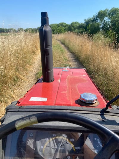 The image shows a close-up view from the driver's seat of a red tractor moving along a dirt path. The path is flanked by tall, dry, golden grass on both sides, with a line of green trees visible in the distance under a clear blue sky. The tractor's hood is visible, featuring a black exhaust pipe, a silver fuel cap, and a faded white label. The steering wheel is in the foreground, with a partially visible instrument cluster showing markings that indicate speed and RPM. The scene suggests a rural setting, likely during a dry season, consistent with agricultural activity. The location is identified as Kurtovo Konare, Bulgaria.