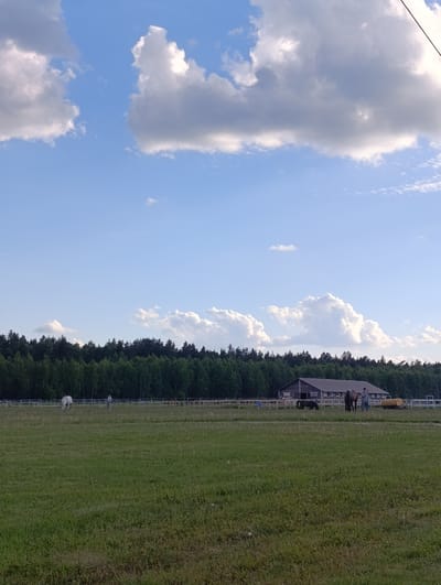 The image captures a rural landscape, likely a horse farm or equestrian center, under a bright blue sky with scattered white cumulus clouds. In the foreground, a wide expanse of green grass fills the lower half of the frame, showing some drier patches.
A white wooden fence runs horizontally across the mid-ground, separating the foreground field from an area behind it. Within this fenced area, a large, dark-roofed barn or stable building is centrally located. It features wooden walls and multiple windows or openings along its visible side.
Several subjects are visible in and around the fenced area. To the left, a white horse is grazing in the grass behind the fence. Near the barn, a smaller, dark-colored horse or pony is also visible. To the right of the barn, a dark brown horse stands, and next to it, a person is standing, possibly interacting with the animal. Another person is visible further to the right, near a yellow wheeled piece of equipment, which appears to be an agricultural feeder or trailer.
The background consists of a dense line of dark green trees, forming a forest or woodland that stretches across the horizon.
The scene depicts a peaceful, sunny day, likely late afternoon or early evening given the soft light. The overall setting suggests an outdoor, agricultural, or recreational horse facility in Ivanovskoe, Russia. No discernible text is visible on any objects or signs within the image.