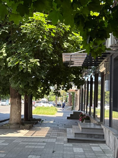 The image shows a sidewalk in front of a modern building. A large tree with lush green leaves casts a shadow on the paved walkway. In the background, several cars are parked on the street. A person wearing a blue shirt and dark pants is walking away from the camera on the sidewalk. The building features large windows and a covered entrance with steps leading up to it. A planter with pink flowers is placed on the steps. The overall scene suggests a pleasant, sunny day in an urban environment. The location is identified as Ver. Alkun, Russia.