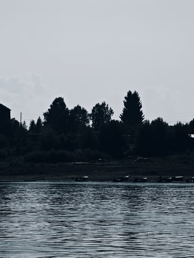 The image captures a serene view of the river in Verkhnepashino, Russia. In the foreground, the water is rippled, reflecting the overcast sky. The middle ground shows a densely wooded shoreline, silhouetted against the light. Various trees of different shapes and sizes form a dark, undulating line. Among the trees, hints of structures can be discerned, including a building on the far left and what appears to be a roof with corrugated siding further in. Power lines are visible stretching across the scene, supported by poles. On the bank, several small boats are pulled ashore, their shapes dark and indistinct. The overall atmosphere is tranquil and slightly melancholic, with the muted tones and the silhouettes creating a sense of quietude.