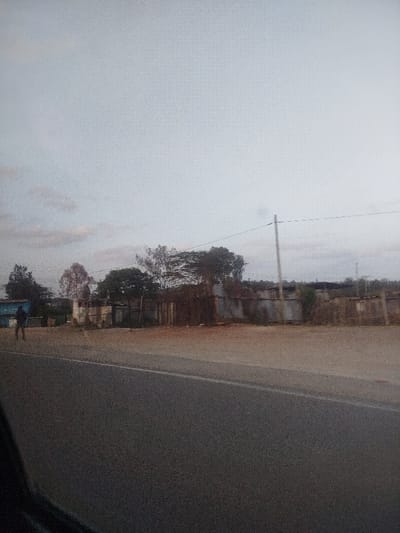 A desolate street scene under a muted sky. A paved road dominates the foreground. Across the road, an unpaved shoulder leads to a row of modest structures constructed with corrugated metal and wood. Scattered trees are sparsely placed along the horizon line. A lone figure walks along the shoulder. An electric pole rises amidst the dwellings, with wires stretching across the sky. The overall impression is one of a rural, possibly economically disadvantaged, locale.