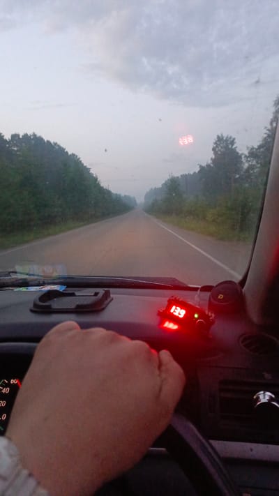 The image is a first-person view from inside a vehicle, looking out at a road that stretches into the distance. The sky is overcast, and the overall lighting suggests either early morning or late evening. Trees line both sides of the road, and a light fog is present.
On the dashboard in front of the driver, a digital display shows the number "139" in red digits. To the left of the digital display, a portion of the vehicle's speedometer is visible, with markings up to "60" and "40". The driver's left hand is on the steering wheel, partially obscuring the speedometer.
The image was captured on a road in the vicinity of Zuy, Russia.