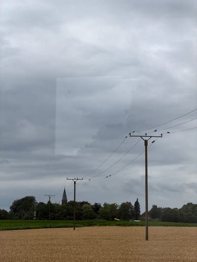 The photograph, taken in Goch, Germany, presents a rural landscape under a heavily overcast sky. In the foreground, a field of ripe wheat stretches across the frame. Two wooden utility poles with power lines are prominently featured. The pole on the right is closer to the viewer and has several birds perched on its wires and a crossbar. The pole on the left is further back, positioned in front of a distant treeline.

Beyond the wheat field, a strip of green crops, possibly corn, is visible. In the middle ground, a dense line of trees forms a backdrop, with a church steeple, identifiable by its pointed roof and cross, rising above the foliage. The church appears to be constructed of dark brick. The sky is filled with thick, grey clouds, creating a muted and somber atmosphere. A faint, rectangular reflection or overlay is present in the upper portion of the sky, hinting at a possible glass surface in front of the scene. No people are visible in the image.