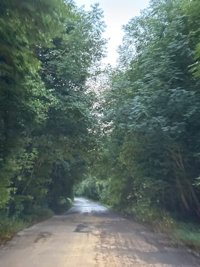 The image depicts a narrow, unpaved road winding through a dense forest. The trees on either side are lush and green, forming a natural canopy that casts shadows on the road. The sky above is overcast with a bright, hazy light filtering through the leaves. The road surface appears to be composed of dirt and gravel, with some patches of standing water or mud, indicating recent rainfall. The overall impression is one of natural seclusion and a peaceful, rural setting. The image does not provide any specific visual cues to identify its location within Naraiv, Ukraine.