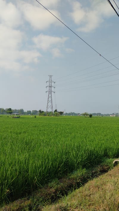 The image depicts a vast, lush green rice field under a pale blue sky with scattered white clouds. In the mid-ground, a tall, latticed metal electricity pylon stands prominently, with several power lines stretching horizontally across the frame. To the left of the pylon, a small, open-sided wooden structure with a thatched roof is visible, likely a farmer's shelter. The foreground shows a narrow, overgrown ditch running along the edge of the rice field, with dry grass and some green vegetation. The environment suggests a rural setting, typical of agricultural areas like Banjarsari, Indonesia, known for its rice cultivation. No people are visible in the scene.