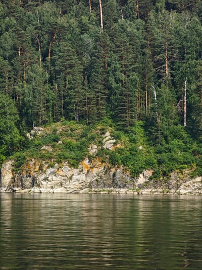A view of the Krasnoyarskoye Reservoir near Predivinsk, Russia, captures a dense, verdant forest blanketing a steep, rocky embankment that meets the water's edge. The trees, a mix of evergreens and deciduous species, create a rich tapestry of green hues, with some lighter bark visible on deciduous trees and occasional deadwood. The rocky cliff face displays layers of sediment and is partially covered with low-lying green vegetation and mosses, with patches of reddish-brown discoloration evident in places. The water in the foreground is calm, reflecting the sky and surrounding foliage with subtle ripples distorting the image. The scene is devoid of human presence or activity, presenting a natural landscape.