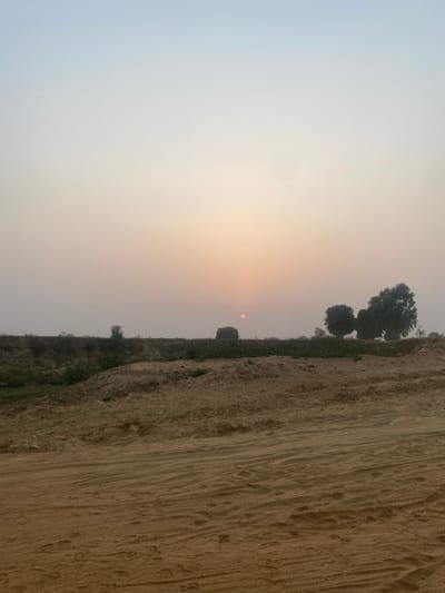 The image displays an outdoor landscape scene, captured during either sunrise or sunset, with a prominent hazy or misty atmosphere. The photograph is oriented vertically but depicts a horizontal landscape, with the ground and horizon line running across the middle of the frame.
The upper portion of the image is dominated by a vast sky, exhibiting a subtle gradient of colors. On the far left, the sky is a pale, desaturated blue or light grey. As it extends towards the right, it transitions into a soft, warm, and diffused orange-yellow hue, which intensifies towards the center-right where the sun is located.
A small, distinct, reddish-orange circle, clearly identifiable as the sun, is positioned slightly above the horizon line in the middle-right section of the sky. Its appearance is soft and somewhat muted, indicating it is low on the horizon and viewed through atmospheric haze or dust.
Below the horizon line, occupying the lower half of the image, is a significant land feature. This appears to be a large, textured embankment, possibly a sandy cliff face, a mound of earth, or an eroded hillside. The color of this landform is a light brown or beige, characteristic of dry soil or sand. Its surface exhibits numerous vertical and diagonal lines and grooves, suggesting patterns of erosion, water runoff, or perhaps markings from human activity or machinery. The texture is rough and uneven.
Along the immediate edge of the horizon, separating the land from the sky, there is a sparse line of vegetation. Several dark green, bushy trees are visible, appearing somewhat silhouetted against the lighter sky, especially those further to the left. Closer to the base of the main landform, additional patches of greenery and smaller bushes can be discerned, indicating a lower ground level beyond the prominent sandy slope.
The overall impression is one of a quiet, vast, and somewhat arid natural environment, illuminated by the diffused light of the low-hanging sun. There are no people, animals, or man-made structures other than the possible marks on the ground. No text is visible in the image.
