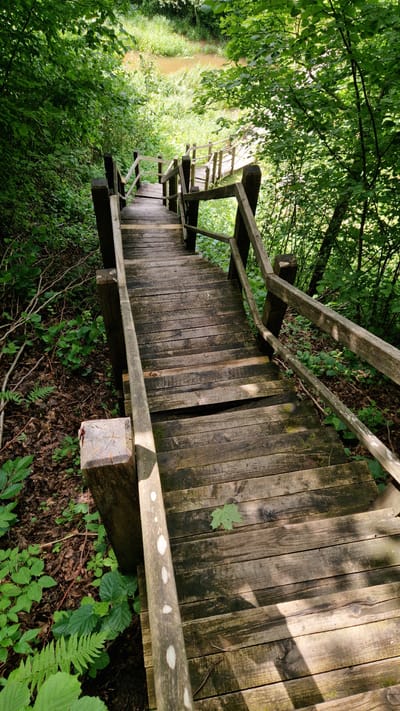 The image shows a wooden staircase descending into a lush green forest. The stairs are made of weathered planks and have wooden railings on either side. Sunlight filters through the leaves of the trees, casting dappled shadows on the stairs. In the background, a body of water can be seen, bordered by tall grass and more trees. The overall scene is one of natural beauty and tranquility. The location is identified as Embūte, Latvia.