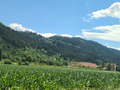 The image depicts a sunlit landscape near Friesach, Austria, characterized by a vast, green cornfield in the foreground. Beyond the field, a verdant, forested mountain range dominates the midground, its slopes covered with dense coniferous trees. A clear blue sky with scattered white clouds stretches across the upper portion of the image. In the middle distance, several buildings are visible: a large, yellow structure with a reddish-brown roof, and another smaller yellow building. A tall, brick smokestack stands near these buildings. The scene is devoid of people or any discernible activity. The environment suggests a rural, agricultural setting.