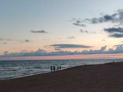 The image captures a beach scene at dusk in Blagoveshchenskaya, Russia. The sky is a gradient of soft blues and pinks, with scattered clouds tinged with gray. The sea is calm, with gentle waves lapping at the shore. The sand is a rich brown, and the shoreline curves into the distance.
In the foreground, four individuals are walking along the water's edge. They are silhouetted against the sea and sky, making their features indistinct. They appear to be casually strolling, with no apparent interaction between them. Further in the distance, two more figures are seen walking along the crest of a dune. The overall impression is one of tranquility and solitude. The scene is bathed in the soft light of the setting sun, casting long shadows across the sand.