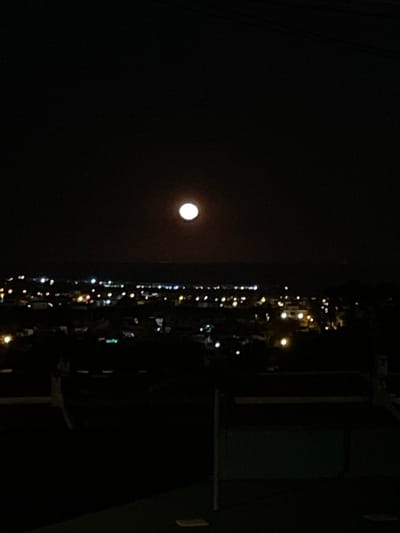 The image, likely taken at night in Rojales, Spain, shows a dark scene punctuated by artificial lights and the moon. On the left, a solid dark surface, possibly a building wall, is visible with the moon as a bright, round object near the center of the left half. To the right of the wall, a vertical line of illuminated objects is present, most likely string lights. Further to the right, there are darker structural elements. It is impossible to discern fine details or make definitive statements about the exact location, people, or actions without further information.
