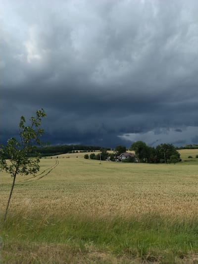This is a horizontal, medium-shot, eye-level photograph taken in Dušejov, Czechia. The image depicts a rural landscape under a dramatic, dark, and cloudy sky. In the foreground, to the left, a single tree with green leaves stands on a grassy verge, casting a shadow. The middle ground is dominated by a vast field of ripe wheat, with tire tracks visible from agricultural machinery. In the distance, a cluster of houses with red roofs is nestled among trees. The background features a dense line of trees, beyond which rolling hills are visible. The overall atmosphere is somber due to the stormy weather indicated by the dark clouds.