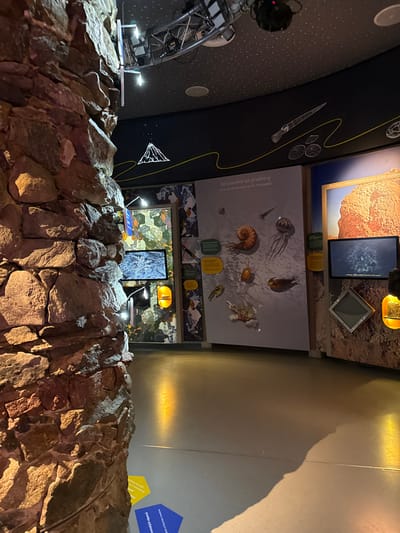 The image depicts an interior exhibit space, likely a museum, located in Vavřinec, Czechia. The foreground on the left is occupied by a substantial, roughly stacked stone wall constructed from irregular reddish-brown and grey rocks, creating a textured, organic barrier. This wall casts a large shadow extending onto the polished floor.
Beyond the stone wall, the exhibit area features a curved, dark grey ceiling speckled with white lights, resembling a starry sky, from which metal track lighting systems with multiple spotlights are suspended. A black band runs along the upper part of the wall, displaying white outline illustrations including a volcano, an elongated fossil, and circular patterns, separated by a horizontal yellow wavy line from the main exhibit panels below.
The floor is a smooth, reflective light grey/beige surface, with two arrow-shaped markers, one yellow and one blue, positioned near the base of the stone wall on the left.
Along the curved exhibit wall, multiple displays are arranged. A large central vertical panel features the Czech text "Od starohor po prvohory" (From the Precambrian to the Paleozoic) and illustrations of ancient marine life including a large ammonite, a jellyfish, and several smaller organisms. Below the main text, several green informational plaques are affixed. To the left of this panel, partially obscured by the stone wall, a monitor displays a detailed image of what appears to be geological formations or microscopic patterns, with a yellow accent light positioned below it.
To the right of the central panel, a textured wall section resembling reddish-brown rock includes a framed image of a detailed, rugged landscape feature, possibly a cave formation or desert rock. Below this framed image, another monitor displays a dark, possibly underwater or subterranean scene. Adjacent to this monitor, a square, grey metallic frame is recessed into the wall, and to its right, a bright yellow-orange container filled with coarse, granular material is visible.
No individuals are present in the scene, and no specific actions or interactions are occurring. The artificial lighting illuminates the exhibits and creates reflections on the floor.