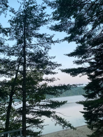 This is a vertical, eye-level, full shot image of a lakefront at dusk, viewed through the branches of pine trees. The foreground is dominated by the dark silhouettes of evergreen trees. Their branches, laden with needles, frame the scene, creating a natural aperture.
Beyond the trees lies a calm lake, its surface reflecting the pale, dusky sky. A narrow sandy beach stretches along the water's edge in the lower right portion of the image. In the distance, a dense forest covers the rolling hills that border the opposite side of the lake. The sky above is a gradient of soft blues and purples, with a few wispy clouds scattered across it, suggesting the transition from day to night. The overall atmosphere is tranquil and serene.
The scene is likely located in Duhamel, Canada, given the natural setting of a lake surrounded by pine forests, common in the Quebec landscape. There are no people visible in the image. The lighting is dim, typical of twilight, with the light source seemingly behind the trees and hills, creating a soft illumination.