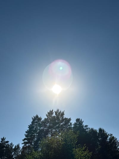 The image depicts a bright, sunlit sky with a prominent lens flare in the upper central area. Below the sky, a dense line of evergreen trees forms the horizon. The trees are silhouetted against the sky, with their tops reaching upwards. The lower portion of the image is dominated by the dark green foliage of the trees. The scene is characterized by a clear blue sky, indicating daytime, and the intense brightness of the sun, suggested by the lens flare. The location is identified as Ovsyanka, Russia.