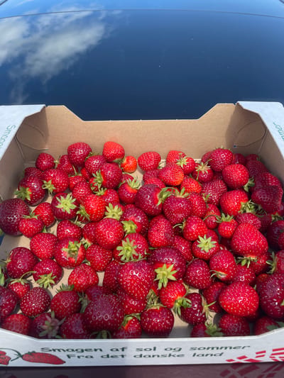 A close-up, top-down shot shows a carton filled with fresh, ripe strawberries. The carton is made of corrugated cardboard and is situated on a dark, reflective surface, possibly the hood of a car, which mirrors the sky and clouds. The strawberries are a vibrant red, with some showing their green leafy tops. The lighting suggests it is daytime and outdoors, with natural light illuminating the fruit. The carton has text printed on its side, reading "Smagen af sol og sommer Fra det danske land", which translates to "The taste of sun and summer From the Danish land." This text, combined with the Danish phrasing, indicates the strawberries are likely locally sourced from Denmark. While the specific location within Horsens, Denmark cannot be determined from the image alone, the context points to a setting where these Danish strawberries are being sold or displayed, such as a farm stand, market, or roadside vendor. There are no people or animals visible in the image.