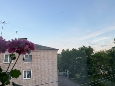 The image shows a view from a window, looking out at a building and trees under a pale blue sky. In the foreground, out of focus, are some pink flowers and green leaves. A pale brick building with multiple windows is visible on the left, with a dark, corrugated roof. In the background, there is a street with parked cars and green trash bins. Dense green trees fill the right side of the frame. Power lines are visible stretching across the scene. The overall impression is that of a residential area in a city. The scene is likely located in Yaransk, Russia, given the presence of typical Soviet-era apartment buildings and mature trees.